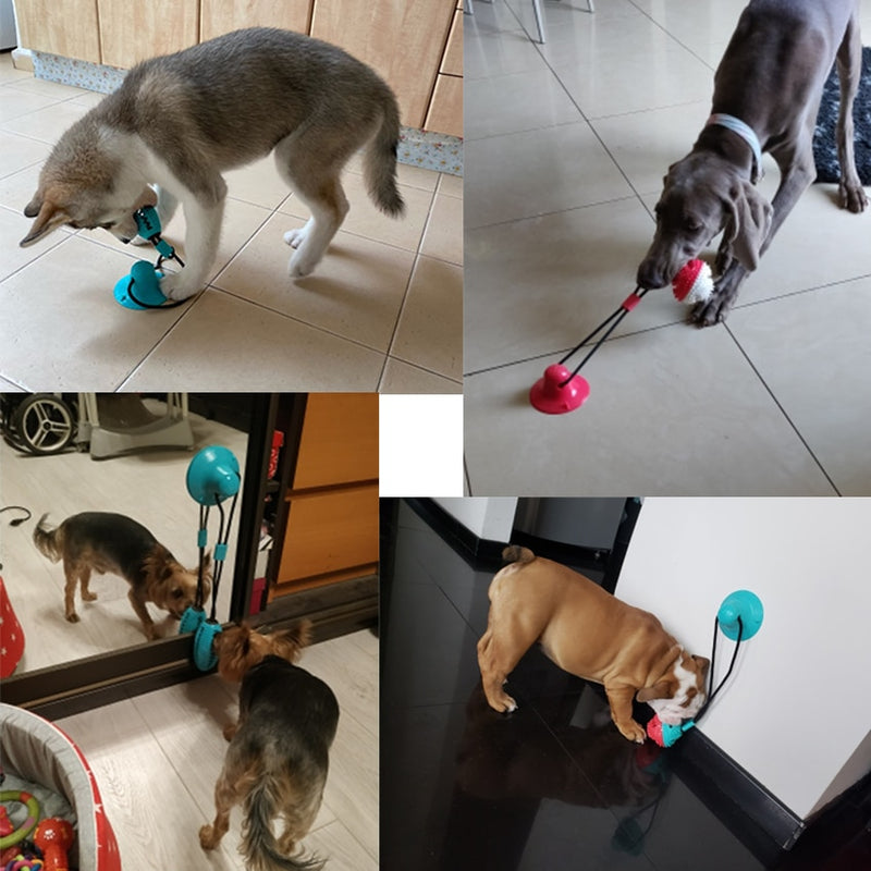 Brinquedo Para Pet Bolinha Mastigável Com Ventosa